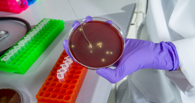 El uso de cadenas desechables de baberos elimina el riesgo de transmisión de bacterias