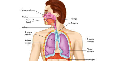 El papel de la inflamación en los trastornos del sueño