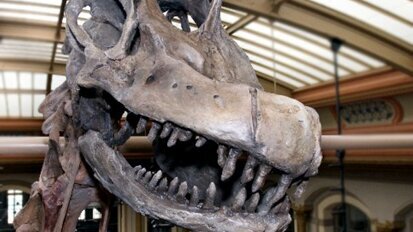 Scientists use teeth to measure temp of dino blood