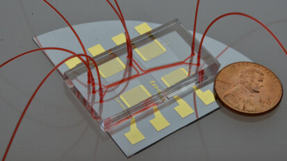 Novel technology may improve early detection of mouth and throat cancer
