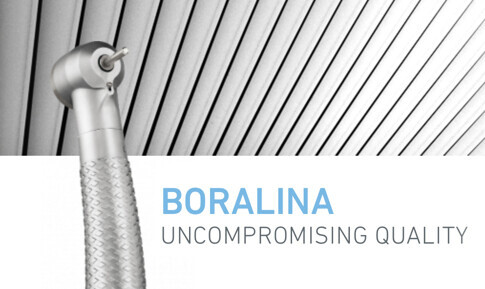 Boralina