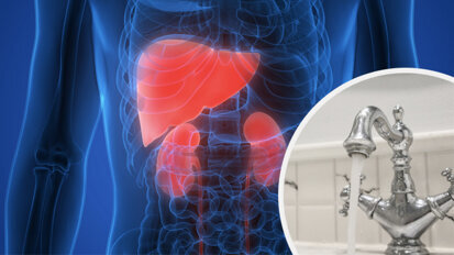 Fluoride may negatively affect kidney and liver function in adolescents