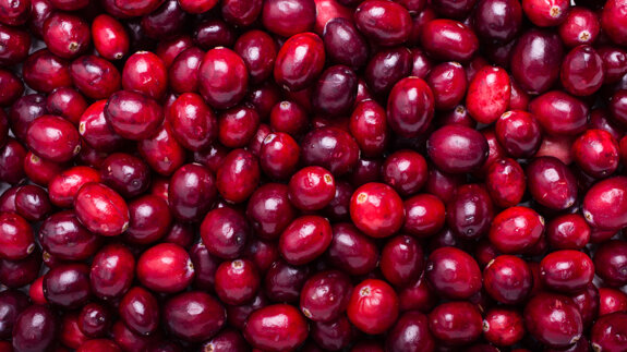 Researchers investigate the effect of cranberry juice on dental plaque