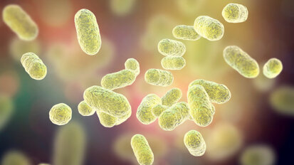 Alzheimer’s drug trial to target P. gingivalis