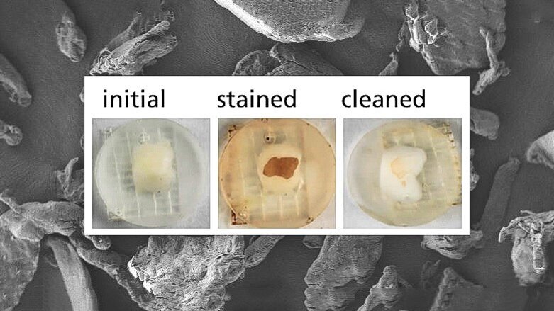 Researchers develop environmentally friendly alternatives to microplastics