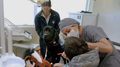 Interview: Animal-assisted therapy lowers stress levels