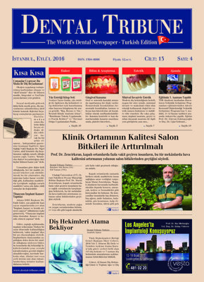 DT Turkey No. 4, 2016