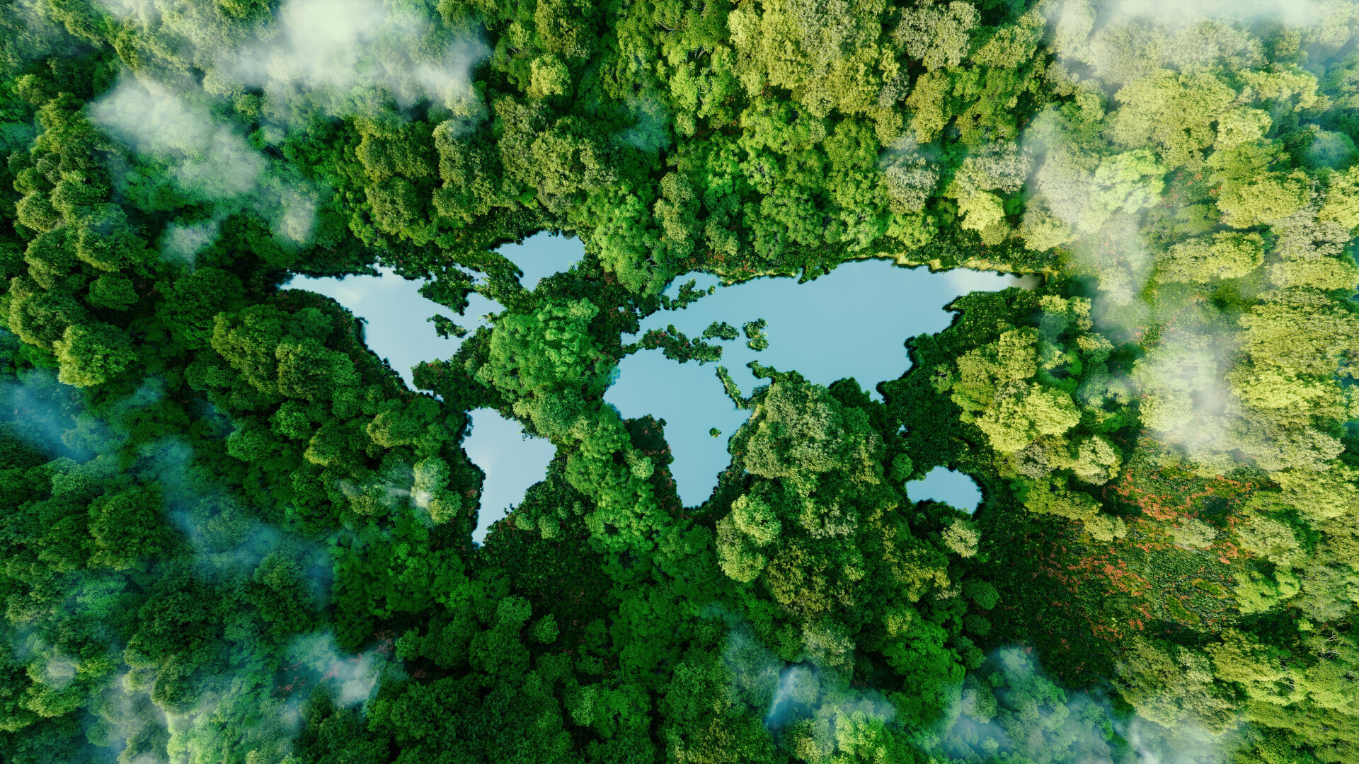 “We have long been committed to implementing eco-friendly processes at Ars Salutaris”