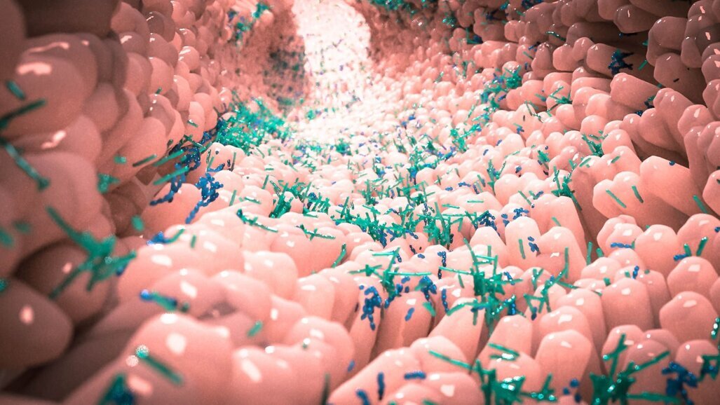 The oral–gut microbiota axis: the harbinger of autoimmune diseases