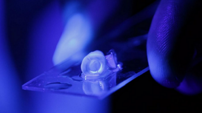 New research may revolutionize root canal treatment