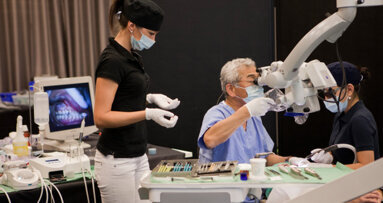 First-class endodontics in 3-D