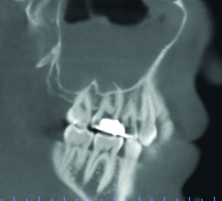 Fig. 5