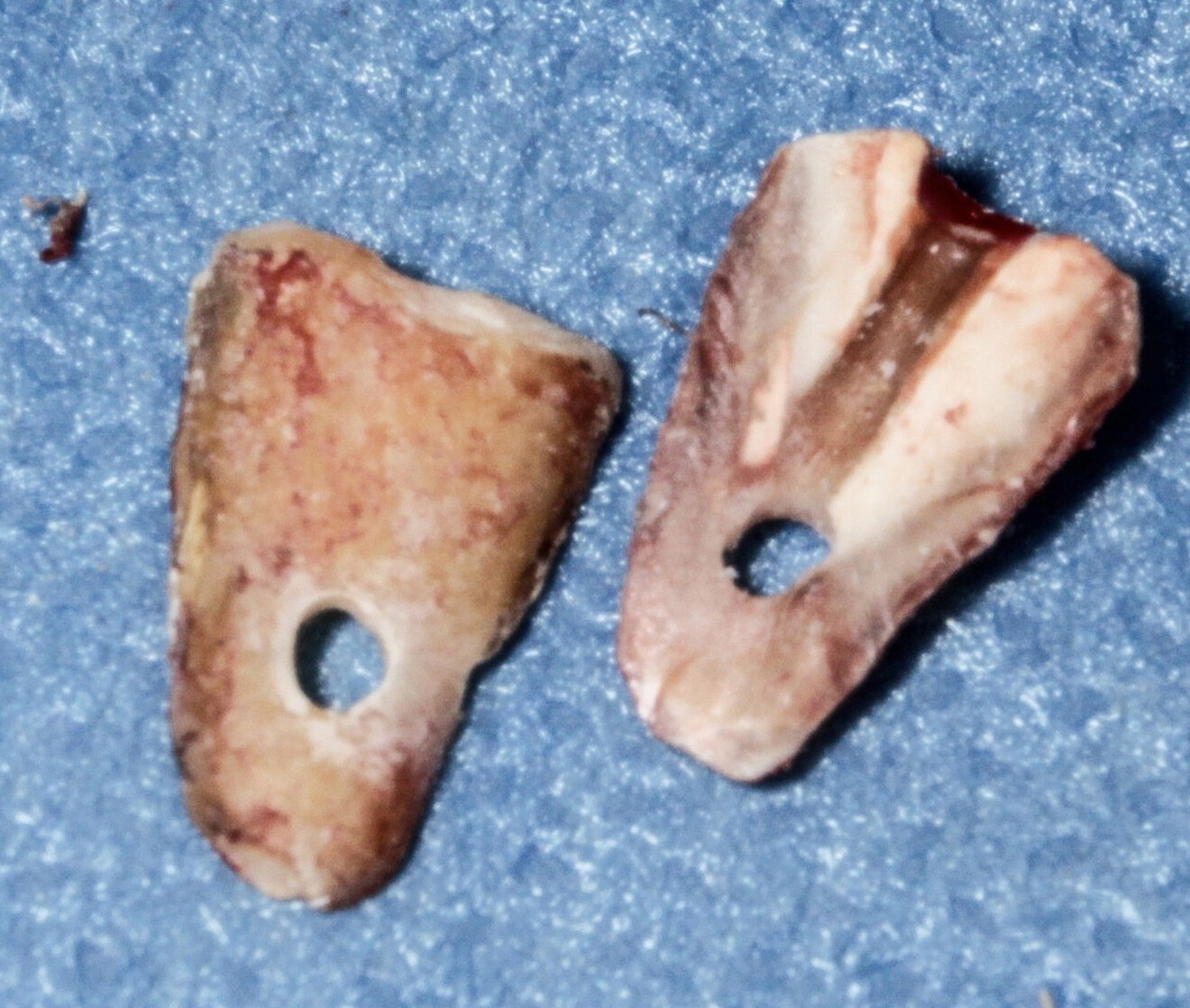 Fig. 4