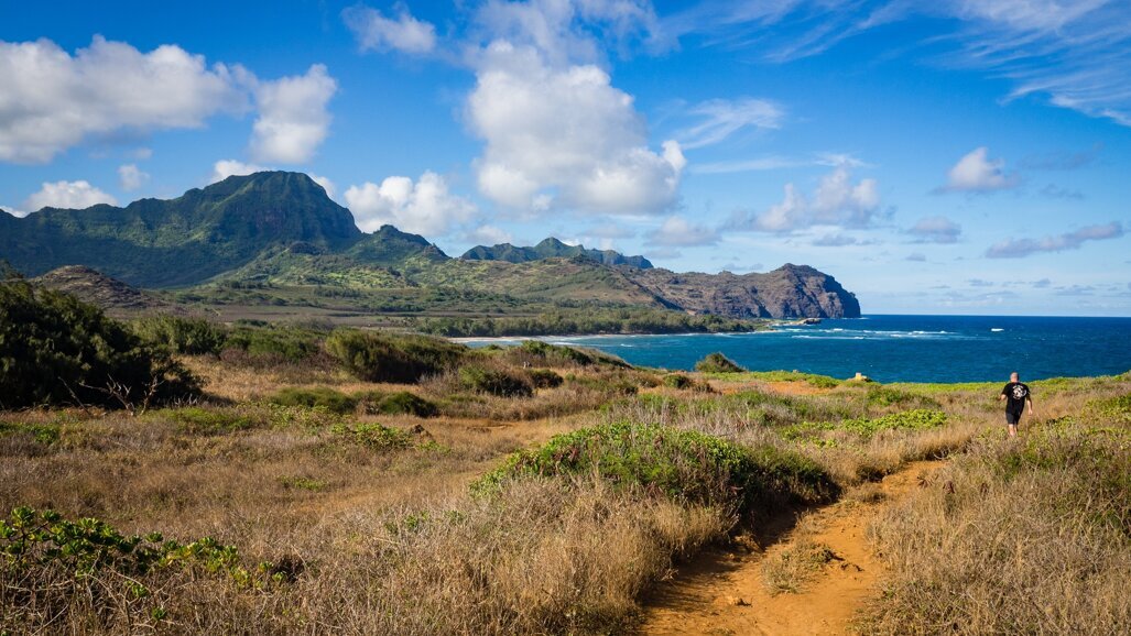 International Association for Orthodontics (IAO) Annual Meeting 2018