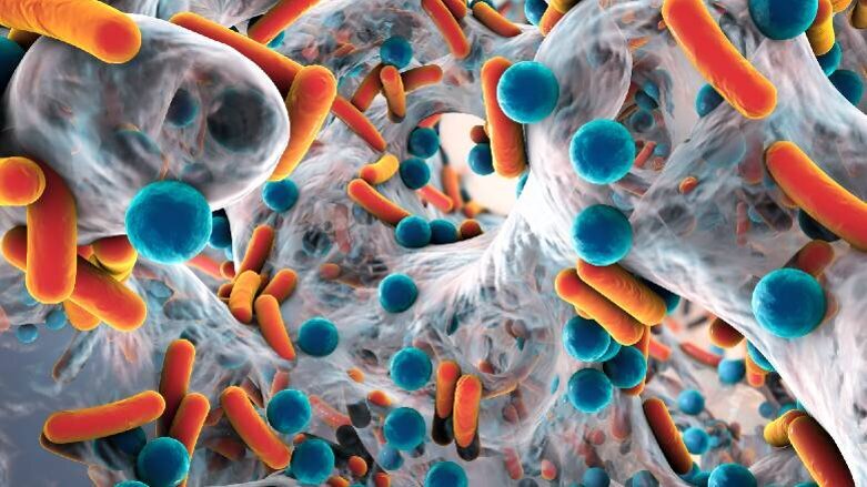 Il Prof. Roberto Mattina: il corretto uso degli antibiotici come argine alle resistenze batteriche