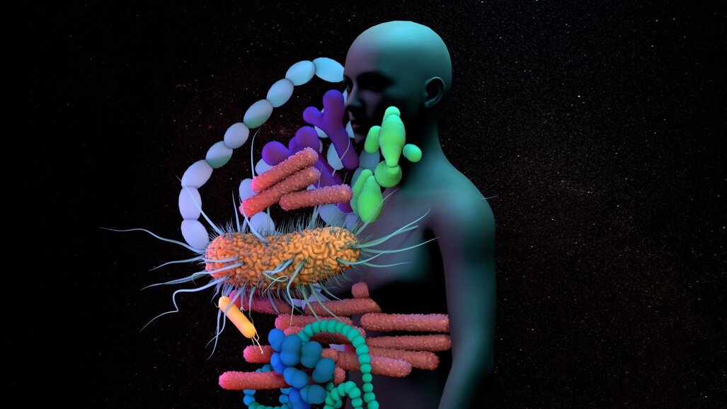 Reversing dysbiosis can treat autoimmune diseases