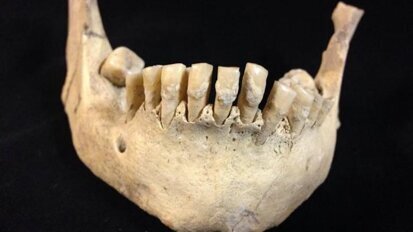 Research suggests human dairy consumption has longer history than previously thought