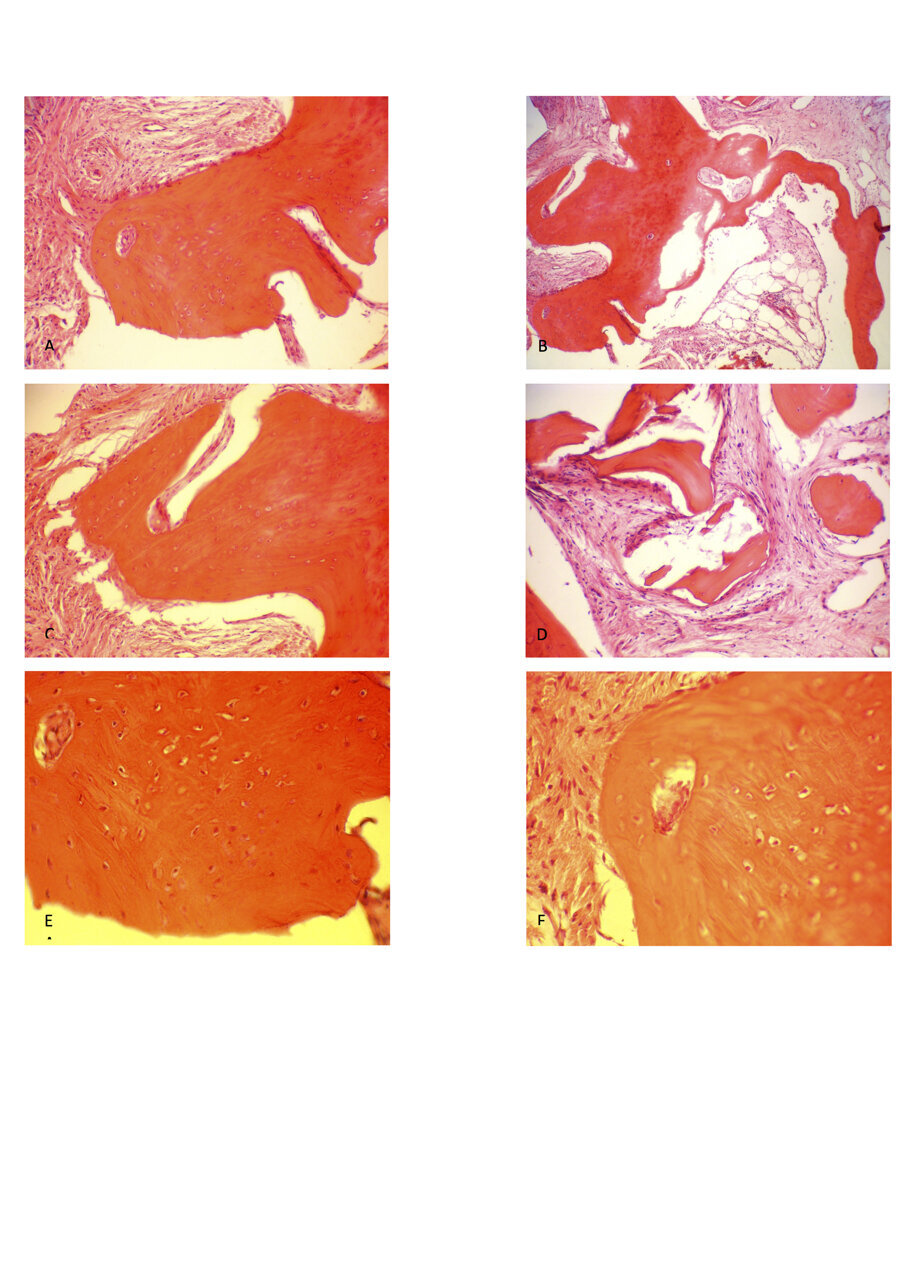 Fig. 12