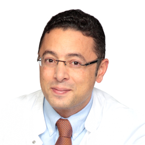  Najib Nassar 