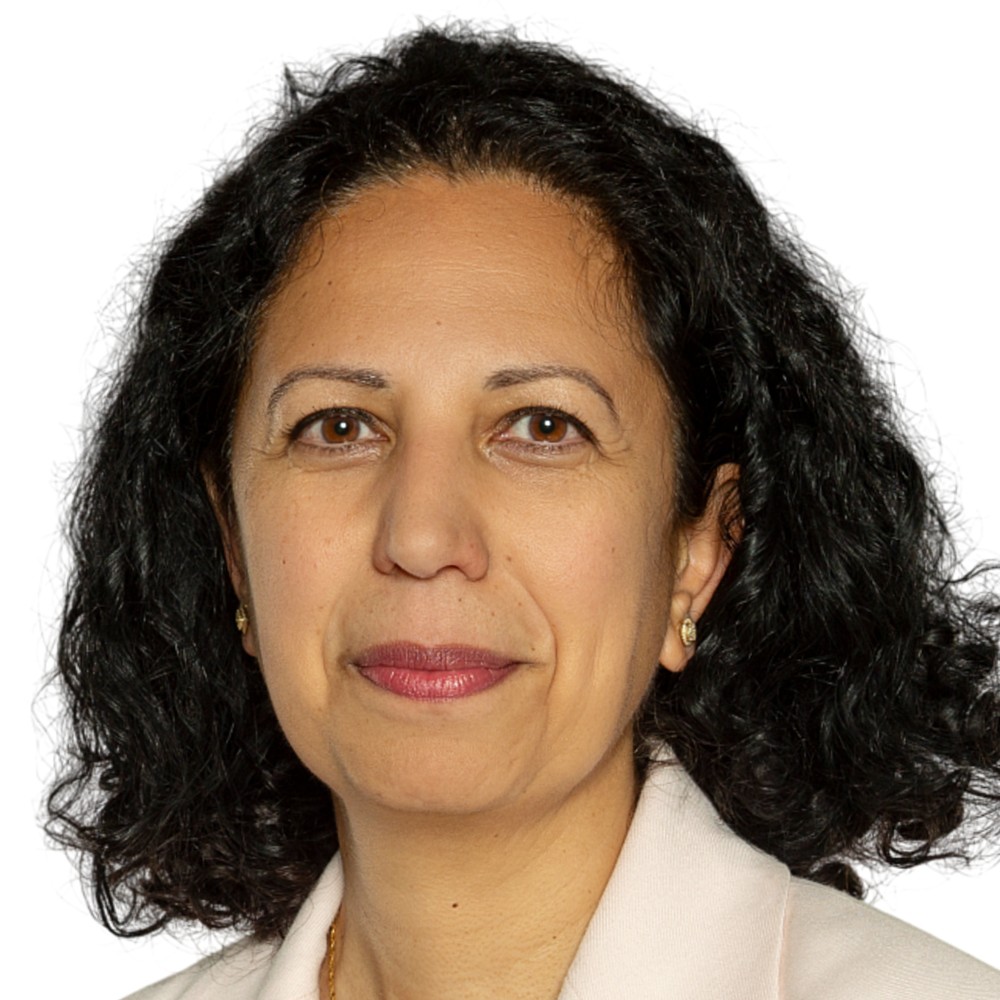 Prof. Dr.  Anahita Jablonski-Momeni 