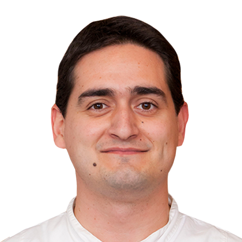 Dr. Fabio Soggia 