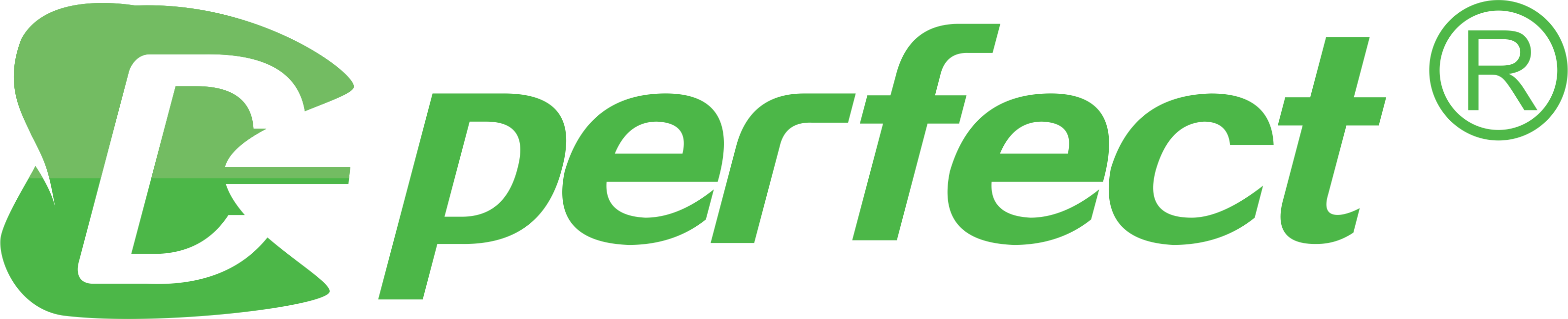 SHENZHEN PERFECT MEDICAL INSTRUMENTS CO. LTD