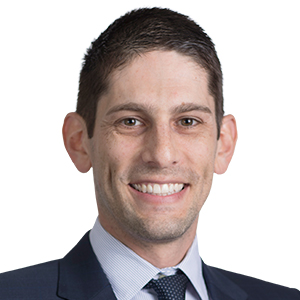 Dr. David Lipton 