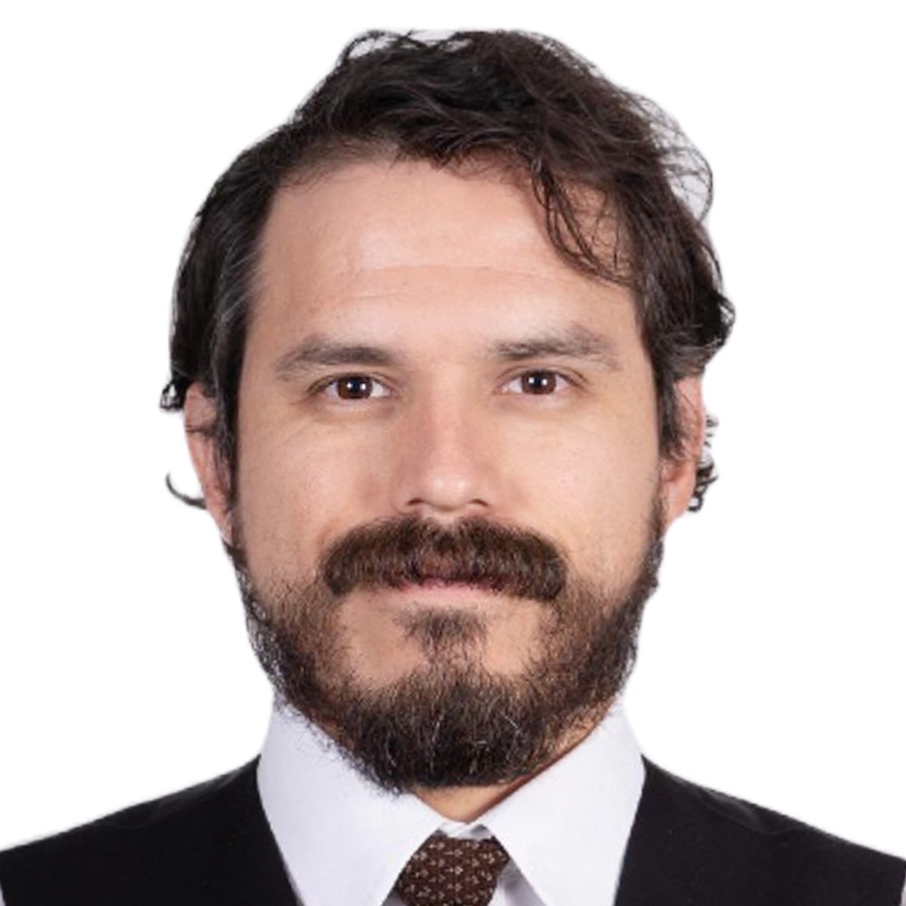 Dr. Nestor  Marquez DDS